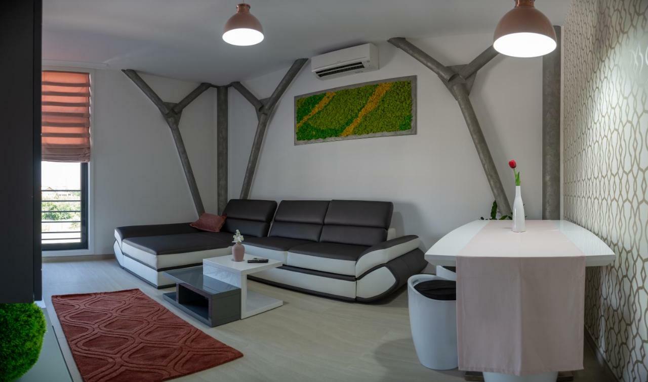 Apartments Steel Residence- Tesla Drive Experience ティミショアラ 部屋 写真